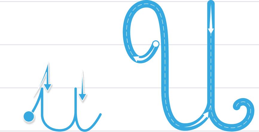 U