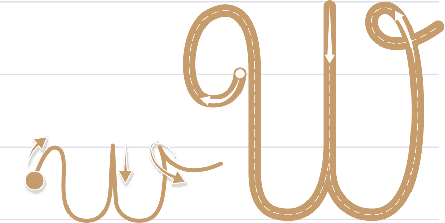 W