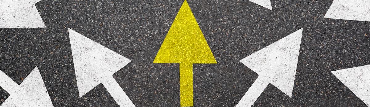 spécialités les plus choisies au lycée