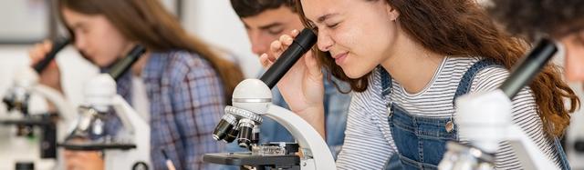 sujets probables DNB sciences 2026