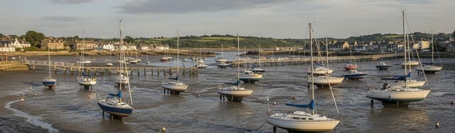 un port de plaisance à marée basse, vasière découverte et bateaux posés attendant le retour de l'eau, lumière d'été, san