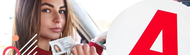 connaître résultat permis