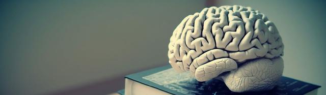 sujets corriges Liban brevet 2024