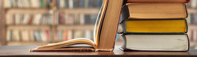 correction brevet français 2024