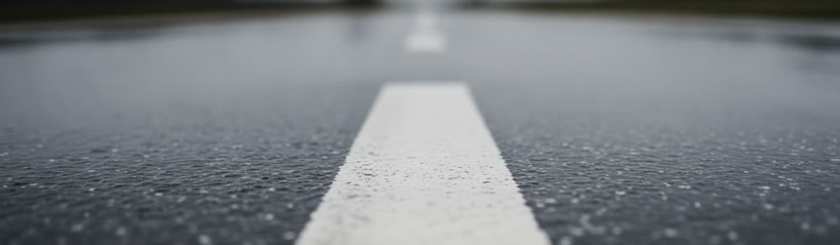 vue rapprochée et rasante d'un bitume mouillé de route nationale française, marquage axial blanc discontinu net au premi